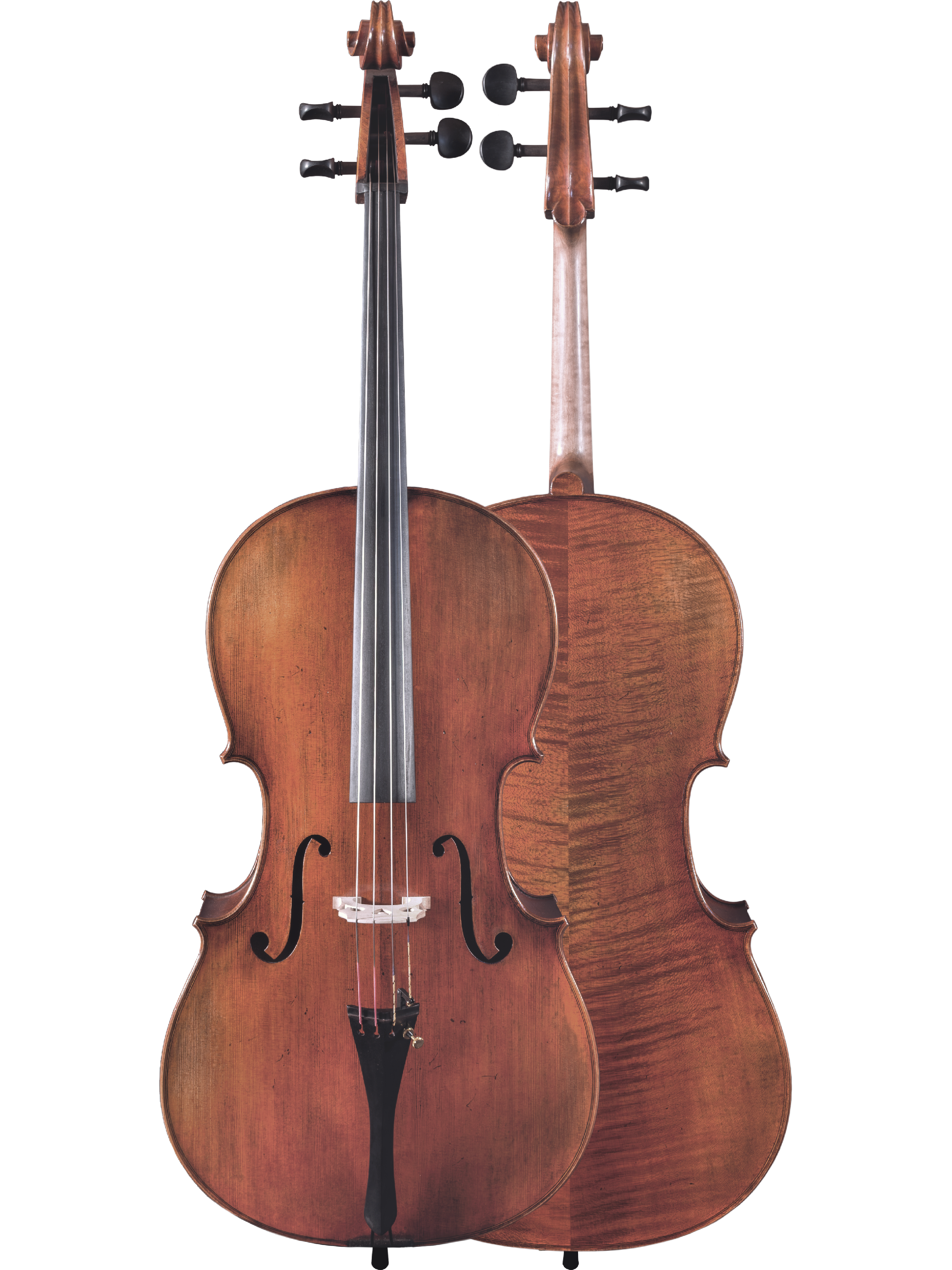 Master Linn Cello — Maple Leaf Strings